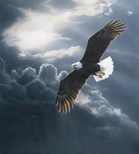 aigle